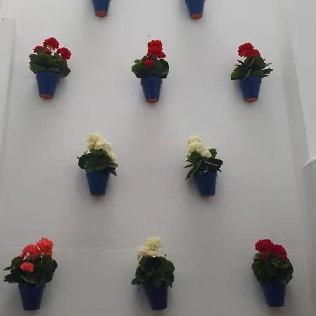 Apartamento El Mirador De San Fernando Córdova